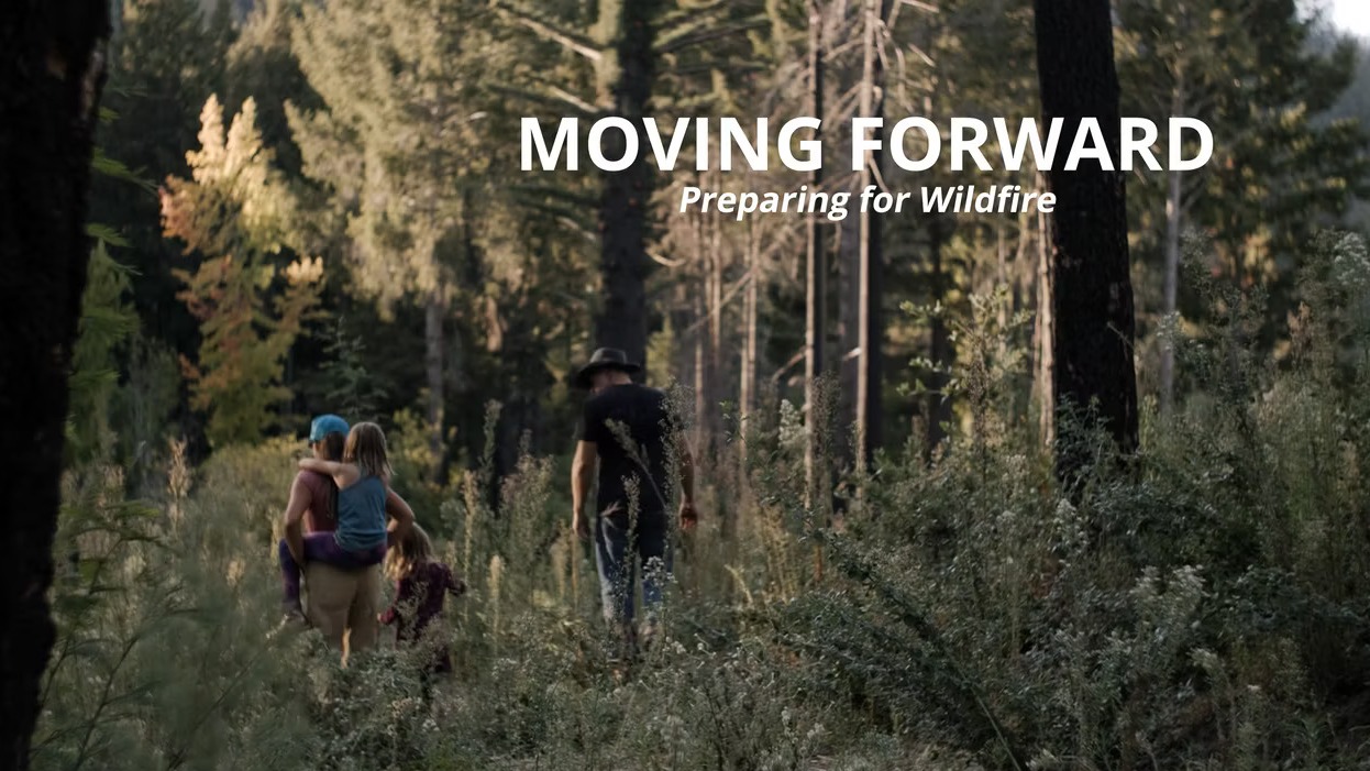 Moving Forward | Beeline Blooms