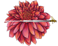 Beeline Blooms