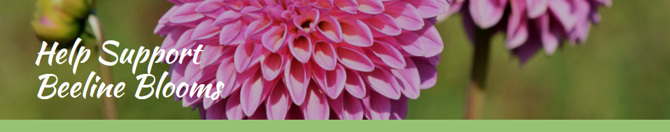 Support Beeline Blooms